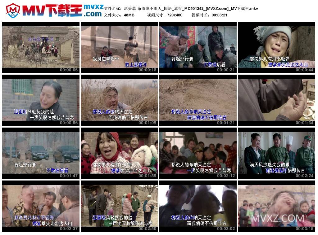 赵美蓉-命由我不由天_国语_流行_MD501342